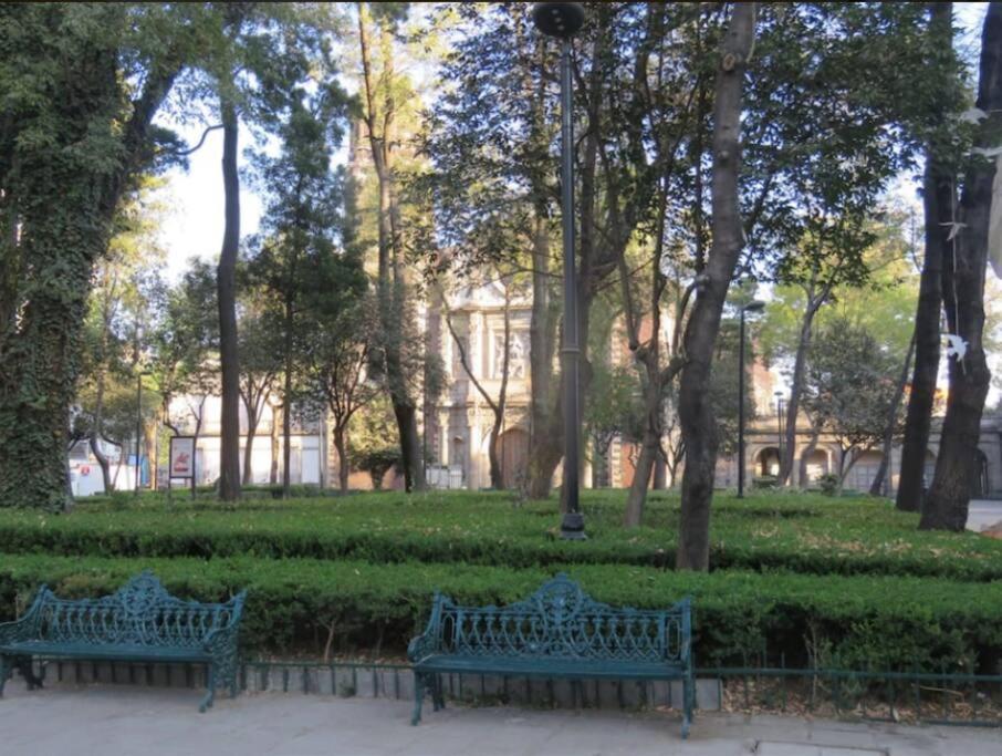 And Cozy Mexico City